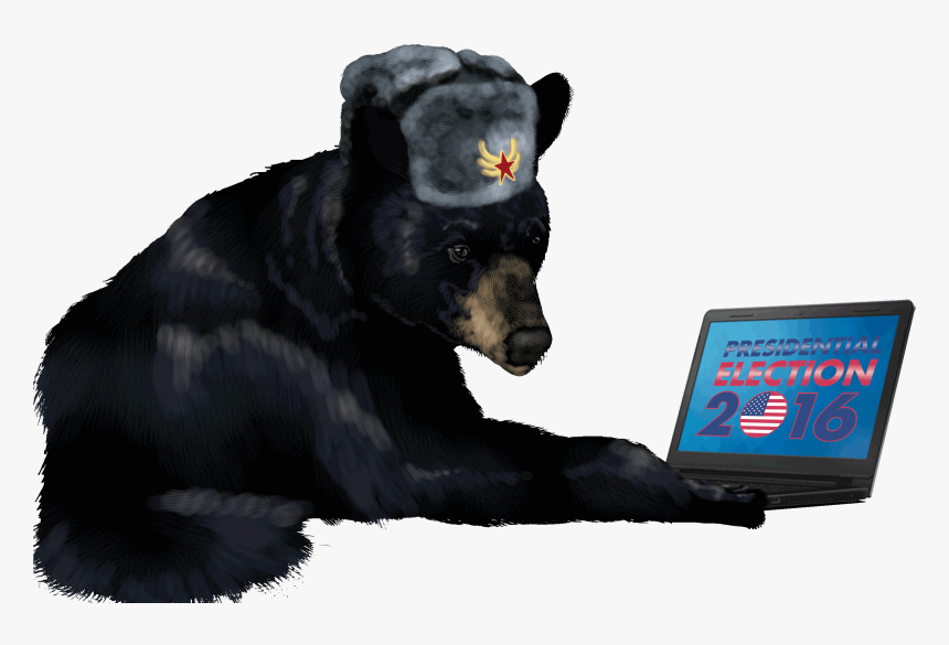 Transparent Russian Bear Png - American Black Bear, Png Download, Free Download