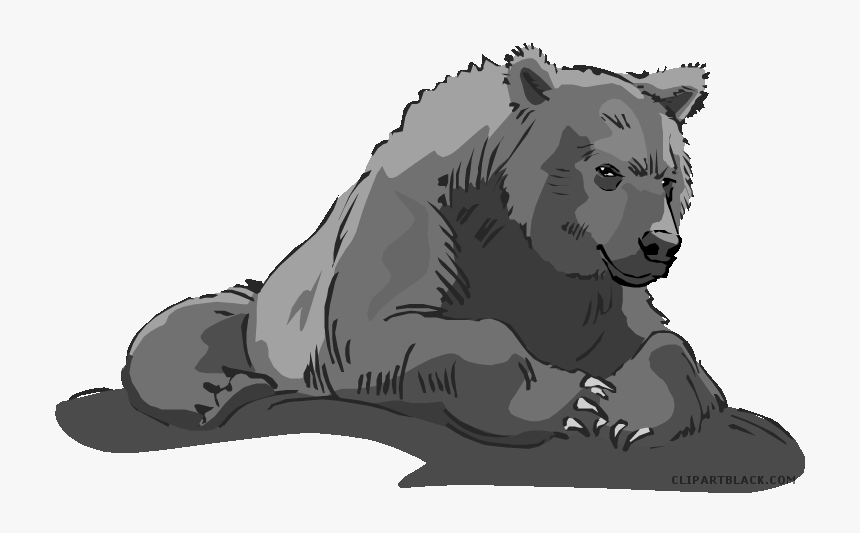 Transparent Russian Bear Png - Bear Clip Art Transparent, Png Download, Free Download