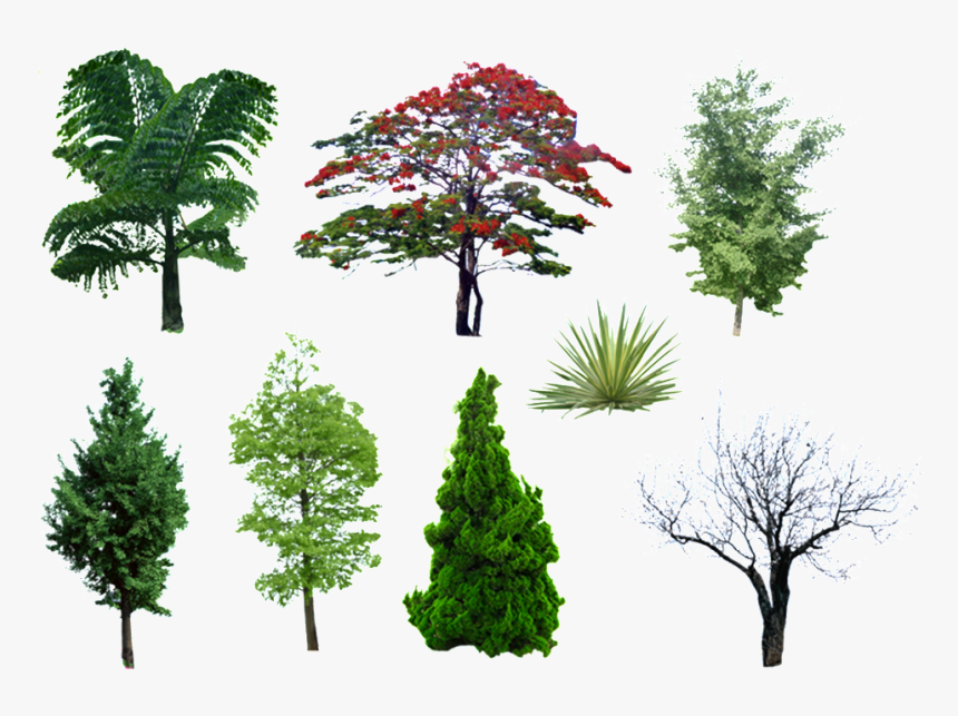 Ocho Tipos De Árbol Verde Paisaje Png Estetico - 效果 图, Transparent Png, Free Download