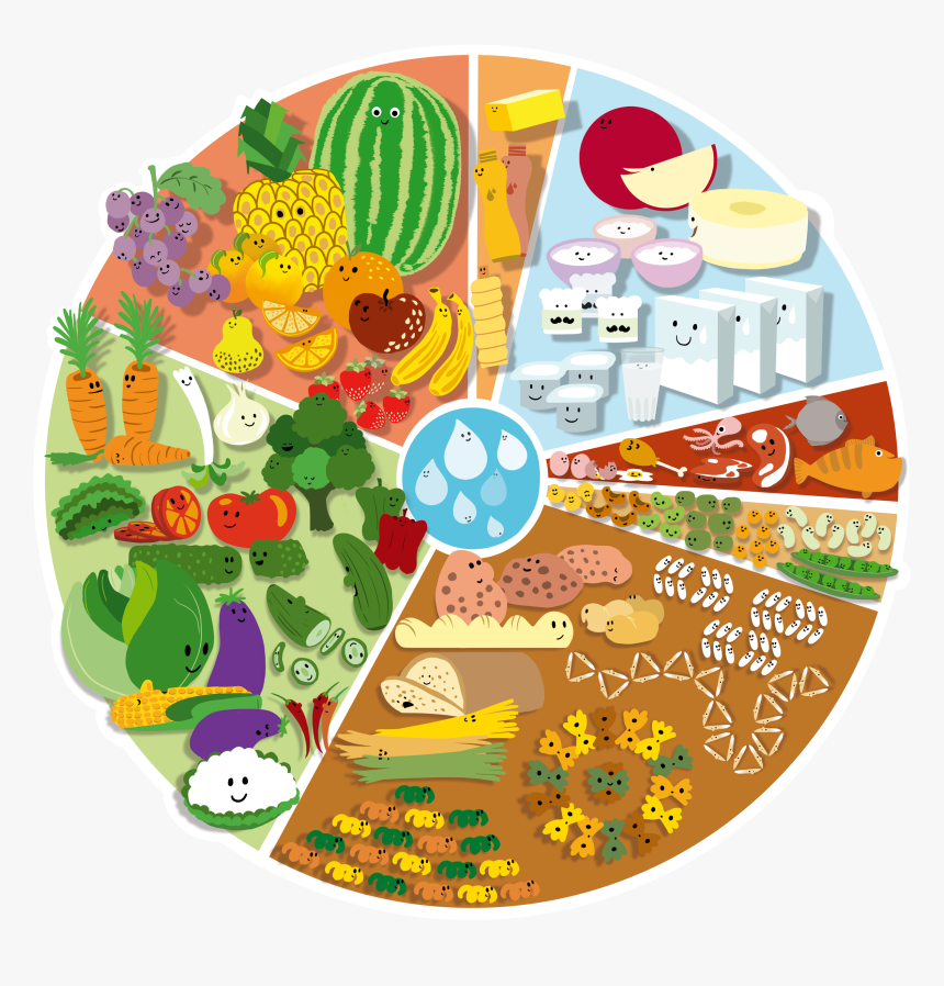 Food Balance Wheel, HD Png Download, Free Download