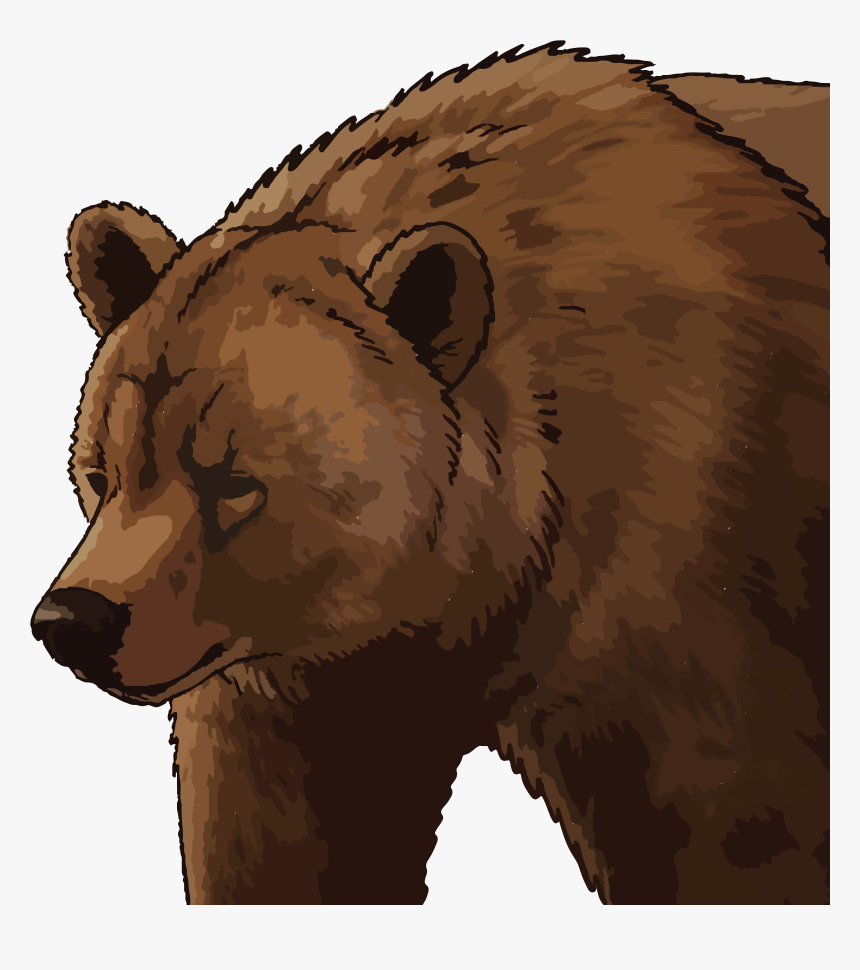 Grizzly Bear, HD Png Download, Free Download