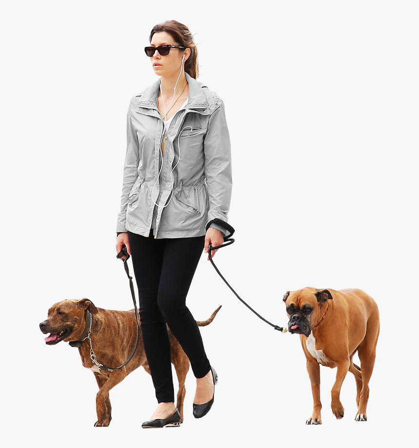 Dog Architecture Architectural Rendering - Walking Dog Png, Transparent Png, Free Download