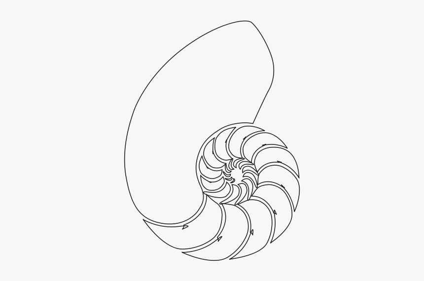 Free Nautilus Shell - Illustration, HD Png Download, Free Download