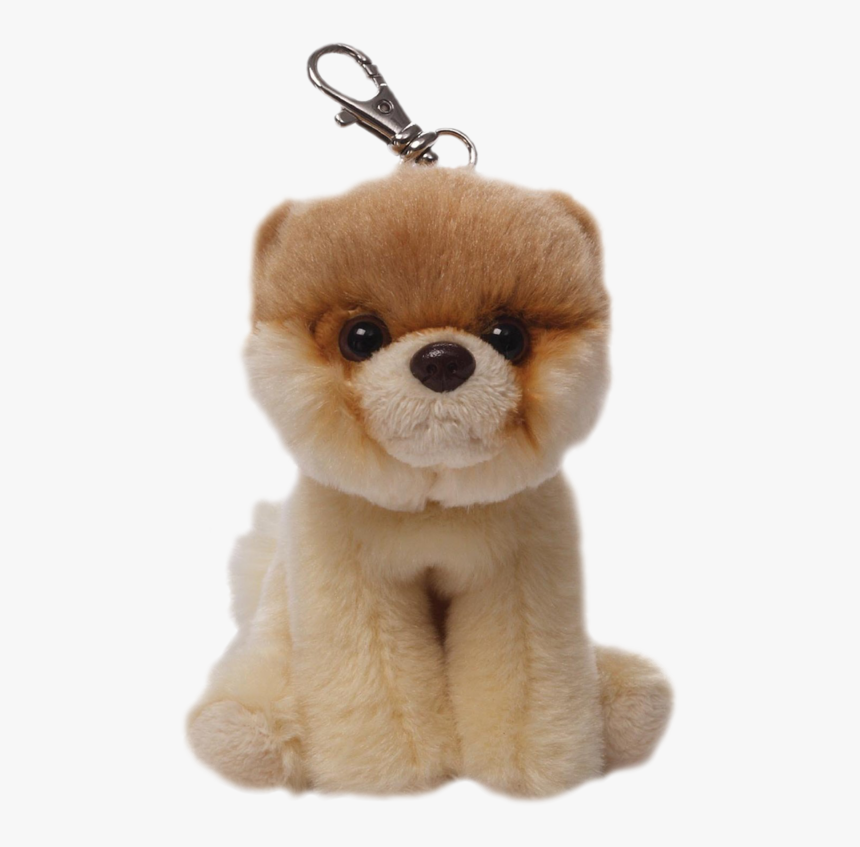 Boo The Dog Png, Transparent Png, Free Download