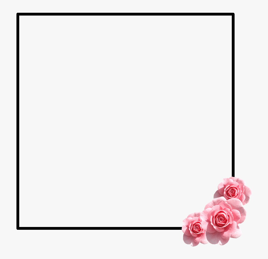 #frame #tumblr #flower #flowerframe #pink #girly #rose - Garden Roses, HD Png Download, Free Download