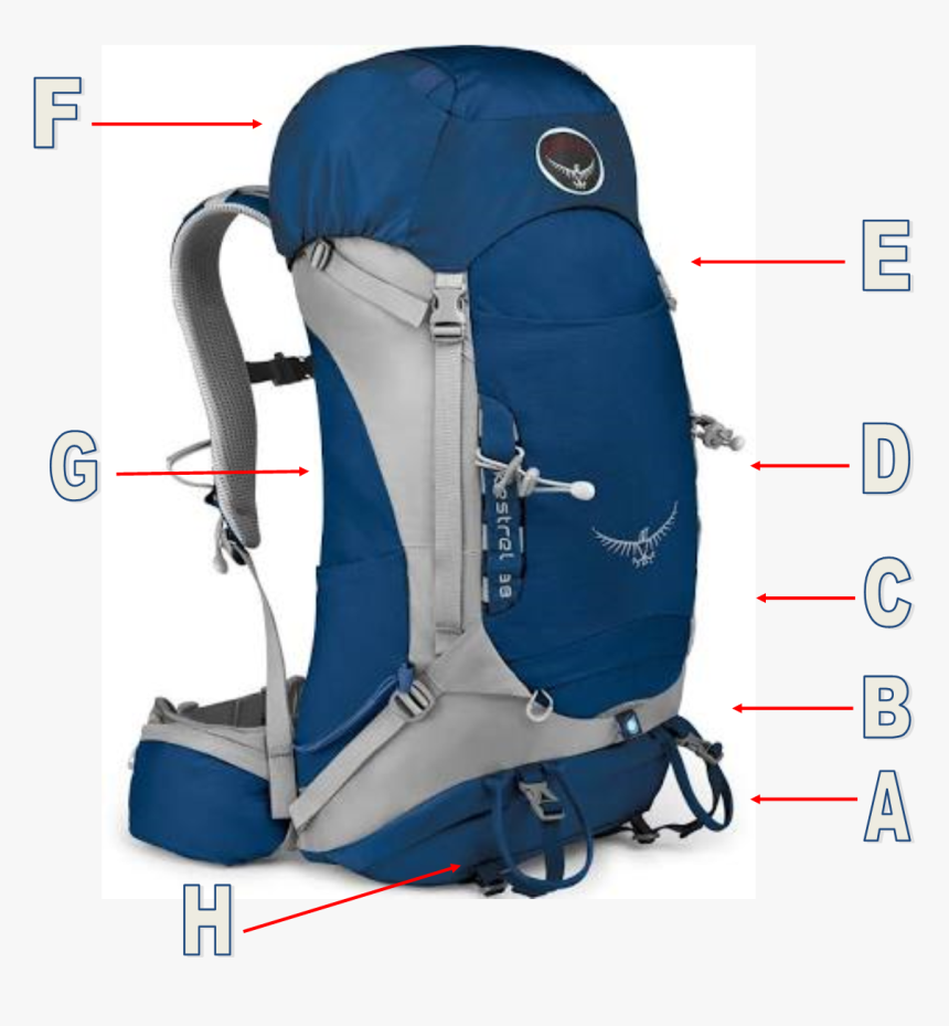 The Fantastic Fun Hiking - Pack Sleeping Bag On Rucksack, HD Png Download, Free Download