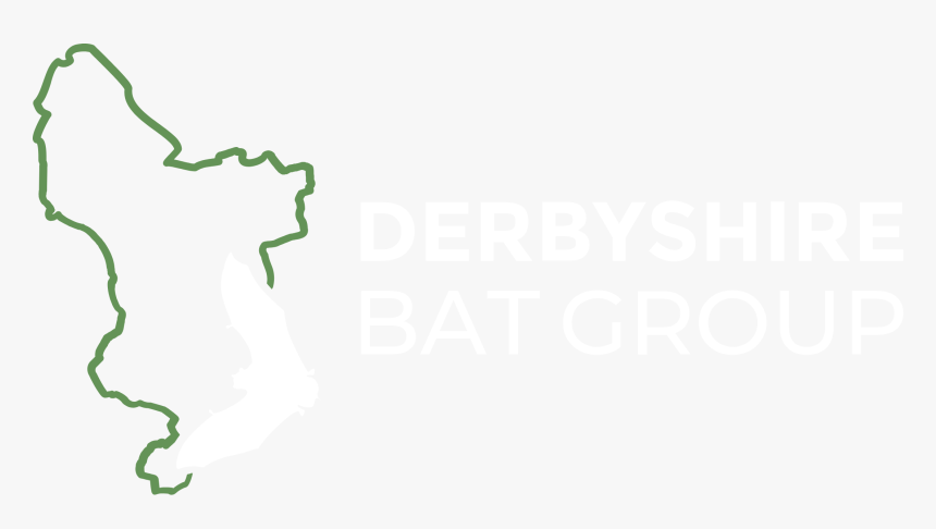 Derbyshire Bat Group Logo Large - Poster, HD Png Download, Free Download