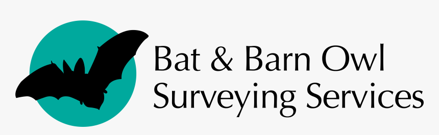 Bat And Barn Owl Surveying Services Logo - Service Now, HD Png Download, Free Download