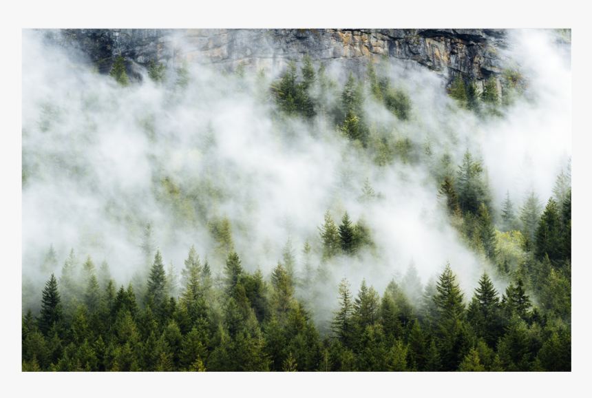 #trees #fog #clouds #rock #background #overlay, HD Png Download, Free Download