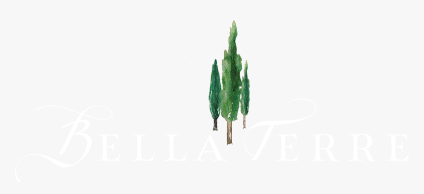 Bella Terre Reception Hall And Vineyard - Pond Pine, HD Png Download, Free Download