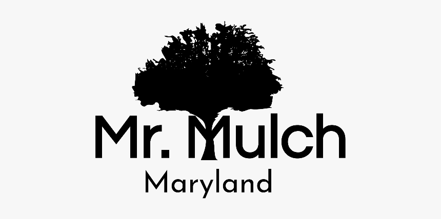 Logo - Graphic Design, HD Png Download, Free Download