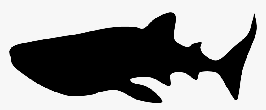 Silhouette Whale Shark Clip Art - Whale Shark Silhouette Transparent Background, HD Png Download, Free Download