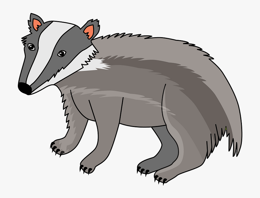 Badger Clipart - Dachs Clipart, HD Png Download, Free Download
