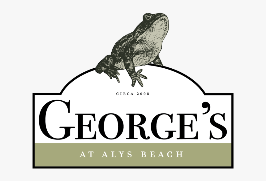 Georges - Illustration, HD Png Download, Free Download