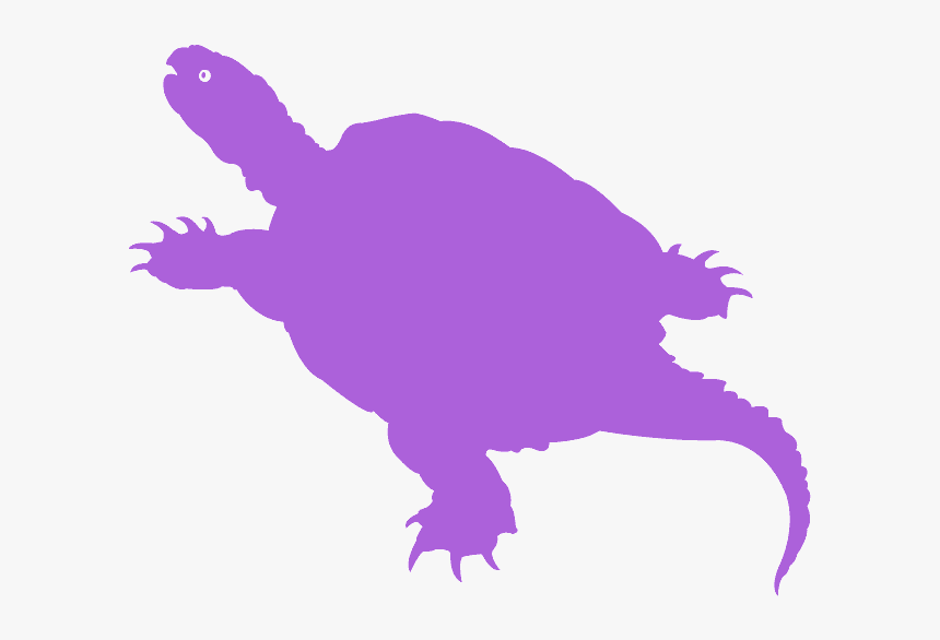 Transparent Clipart Iguana - Common Snapping Turtle, HD Png Download, Free Download