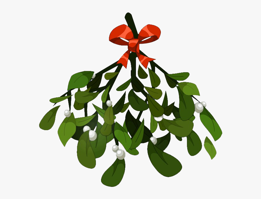 Mistletoe Png Photos - Mistletoe Png, Transparent Png, Free Download