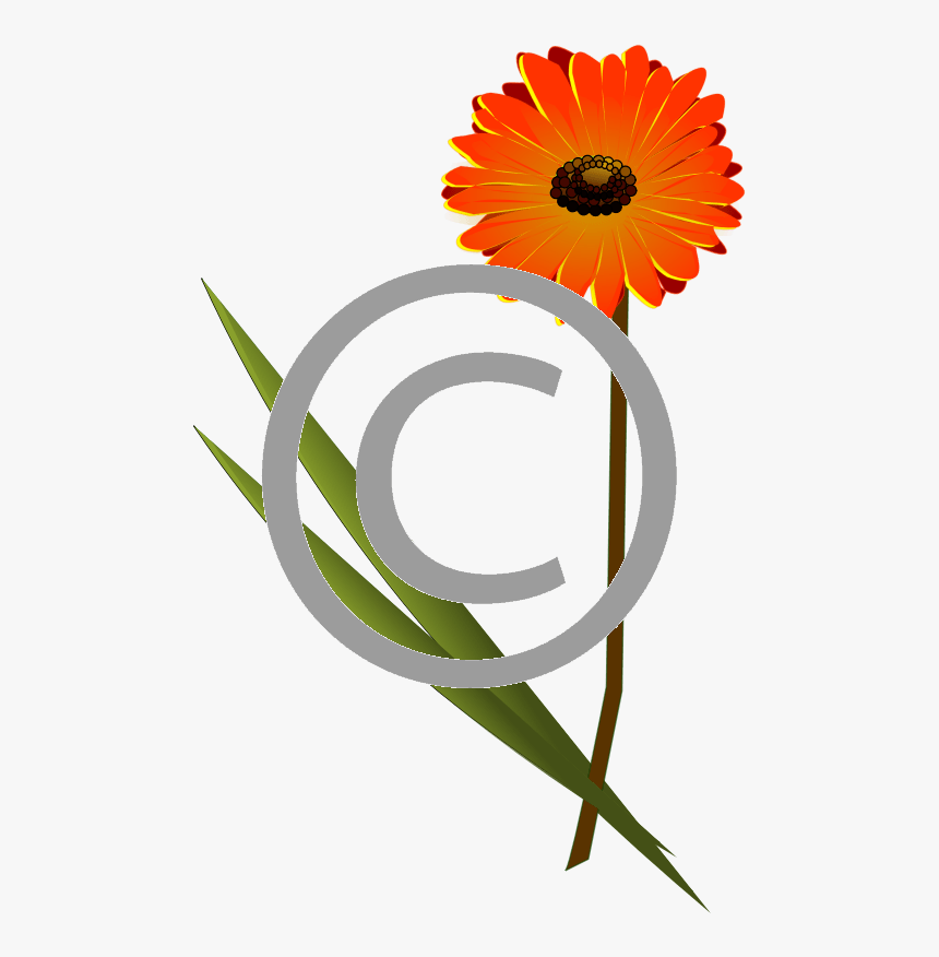 Gerbera Clipart, HD Png Download, Free Download