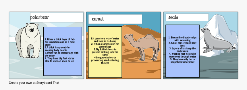 Arabian Camel, HD Png Download, Free Download