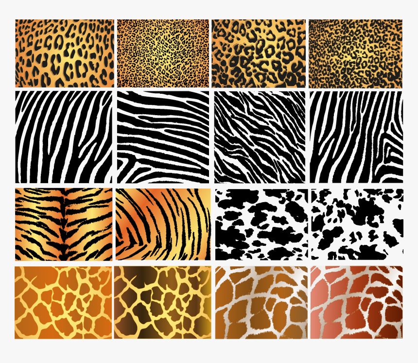 Transparent Net Texture Png - Animal Skin Patterns, Png Download, Free Download