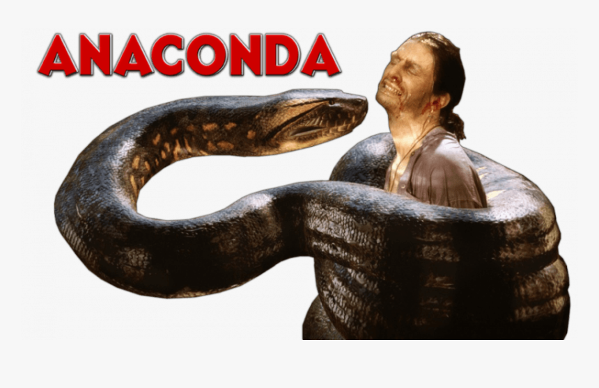 Anaconda Snake Png, Transparent Png, Free Download