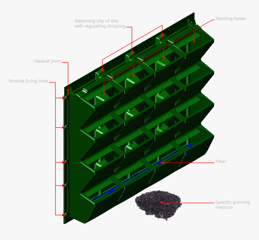 Living Wall Cad Green Detail Drawing Details Vertical - Modulogreen, HD Png Download, Free Download