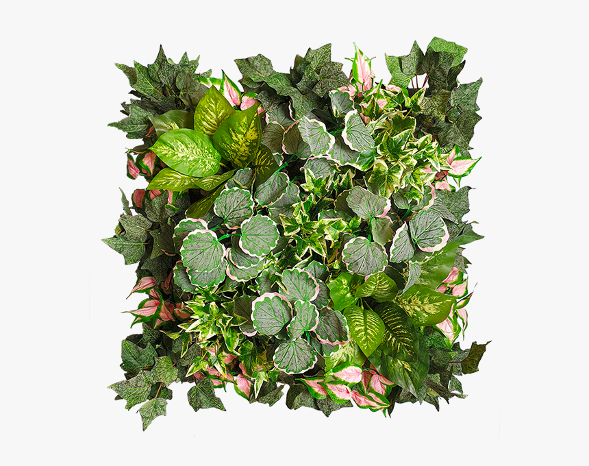Green Wall Png, Transparent Png, Free Download