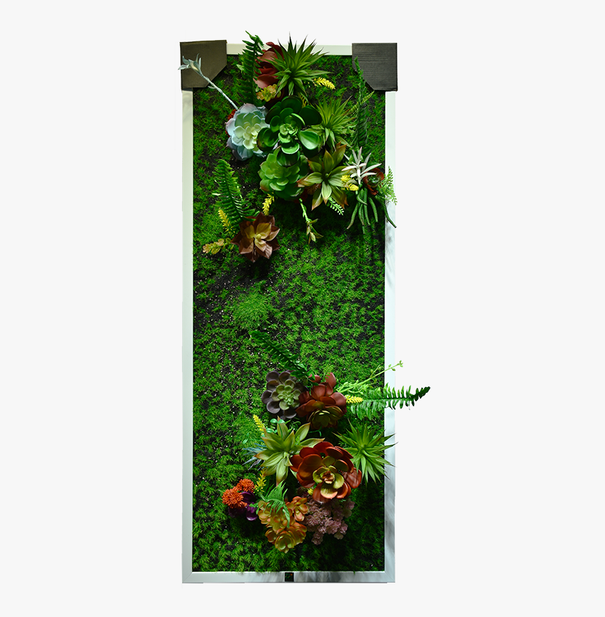 Green Wall Png, Transparent Png, Free Download