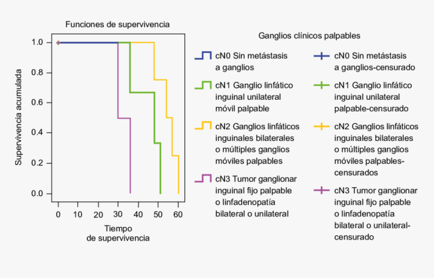 Pronostico Del Cancer De Pene, HD Png Download, Free Download