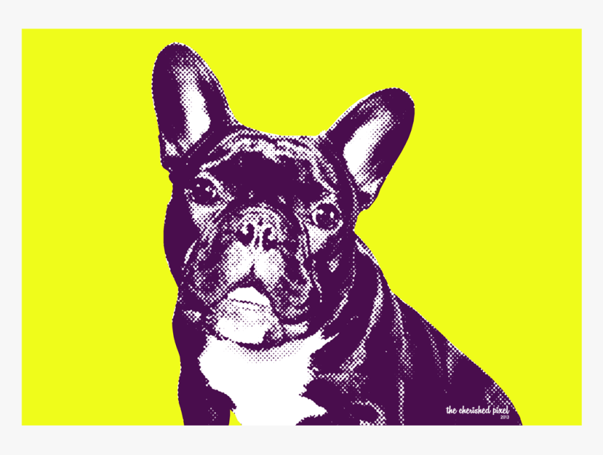 French Bulldog, HD Png Download, Free Download