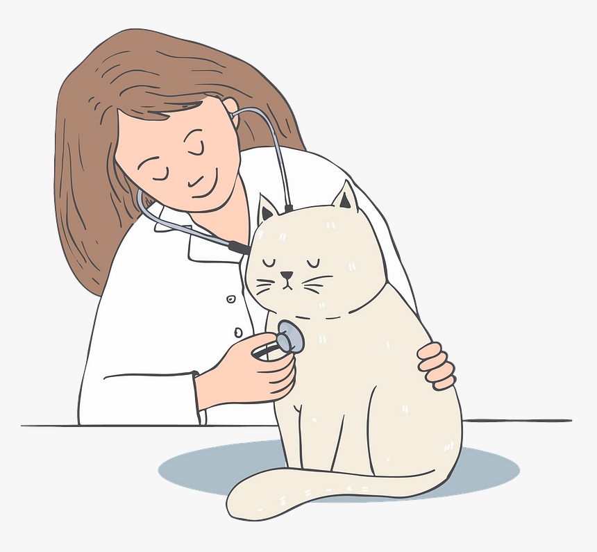 Cat At The Doctor’s Appointment Clipart - Vet Clipart With Cat, HD Png Download, Free Download