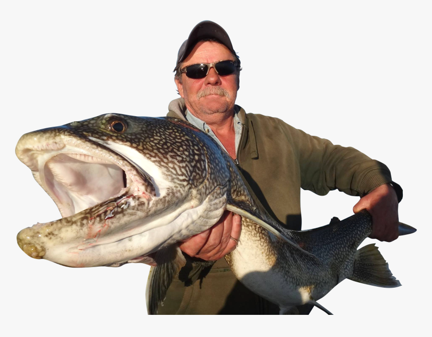 Pull Fish Out Of Water, HD Png Download, Free Download