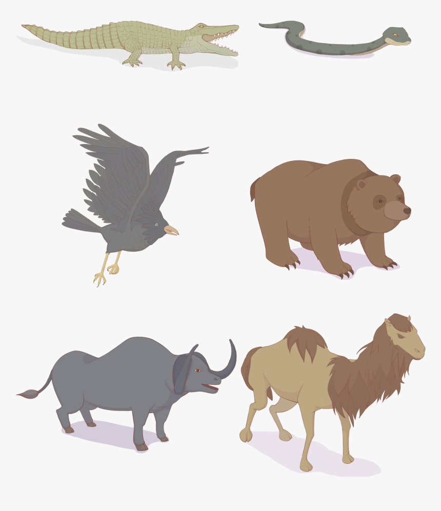 Transparent Cattle Herd Clipart - Animal, HD Png Download, Free Download