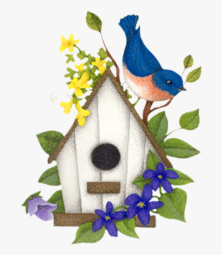 Blue Bird Png, Transparent Png, Free Download