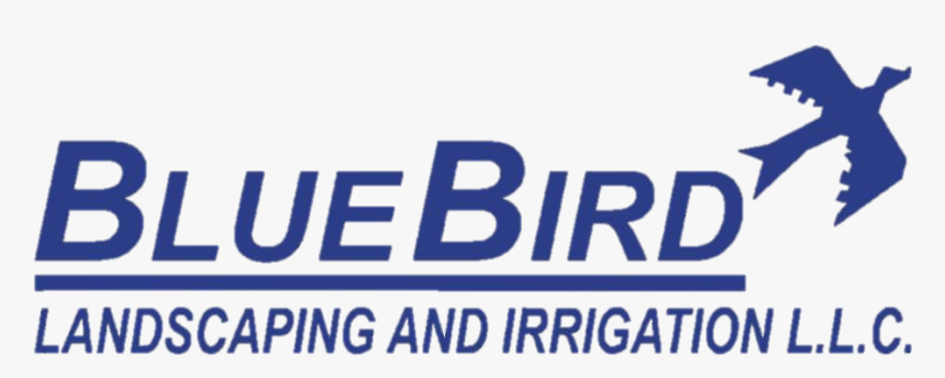 Blue Bird Landscaping And Irrigation, Dubai - Graphics, HD Png Download, Free Download