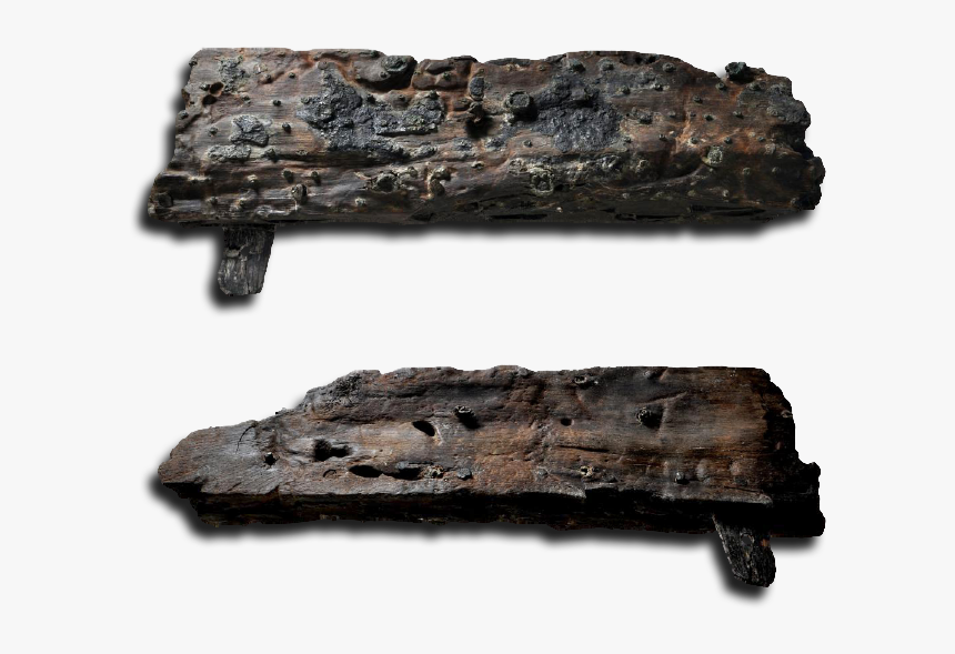 Position In The Museum - Driftwood, HD Png Download, Free Download