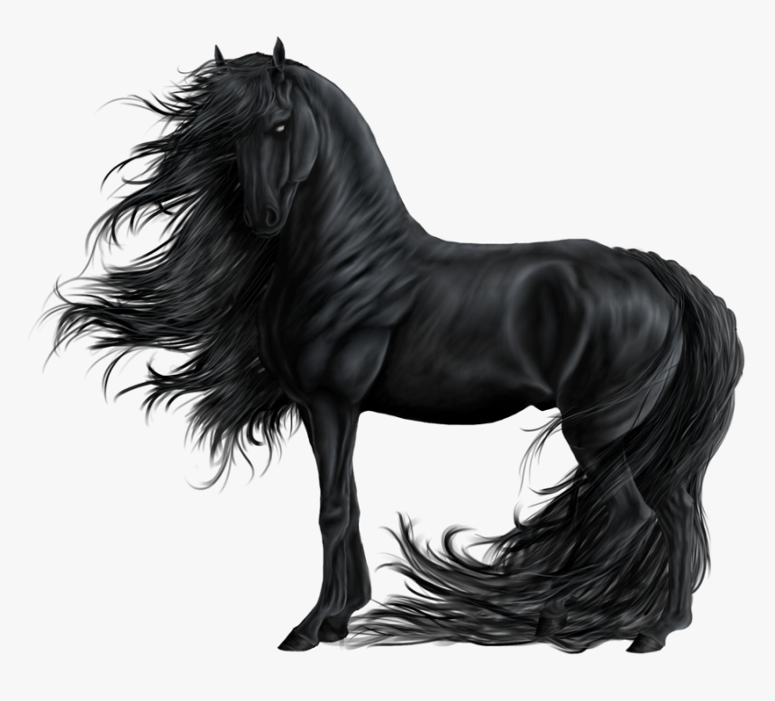 Friesian Horse Png, Transparent Png, Free Download