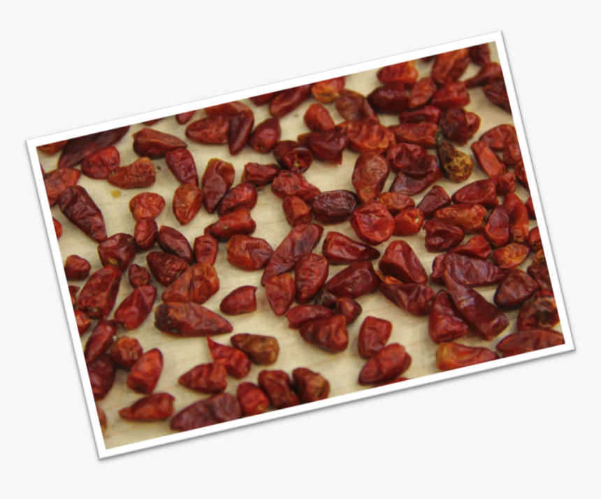 Raisin , Png Download - Raisin, Transparent Png, Free Download