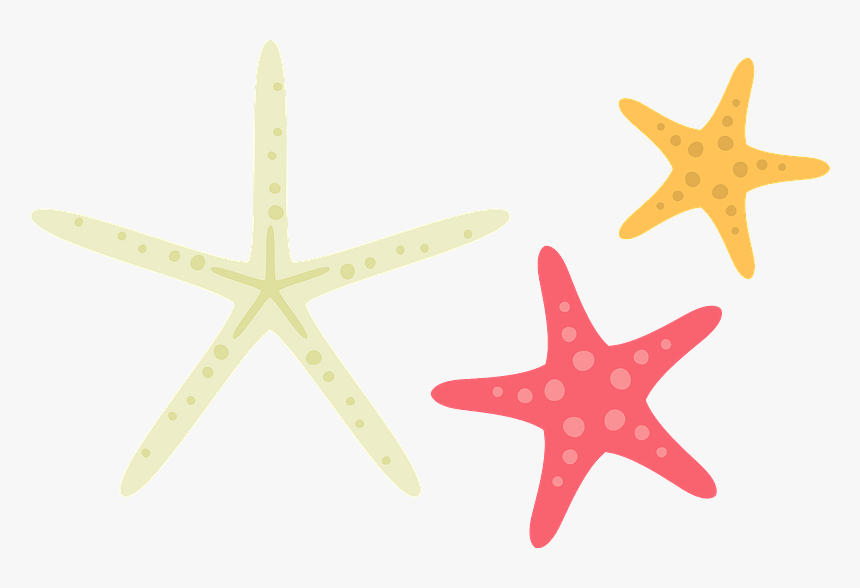 Starfish Sea Stars Clipart - Starfish, HD Png Download, Free Download