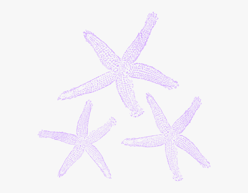 Turquoise Starfish Clip Art At Clker - Fish Clip Art, HD Png Download, Free Download