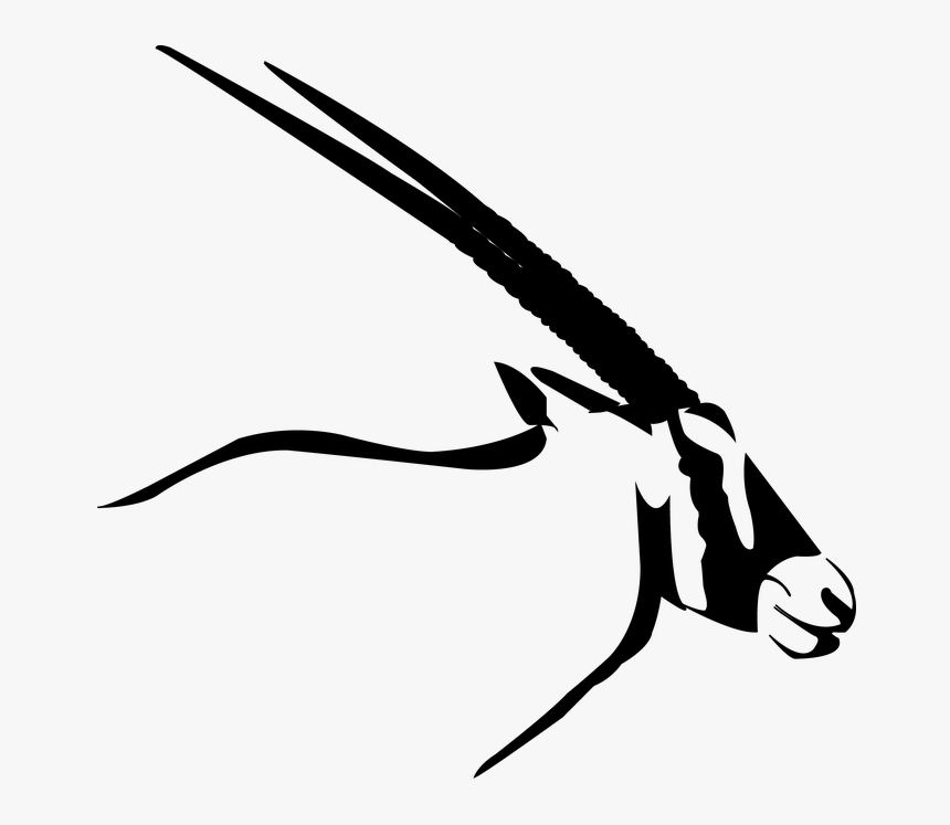 Oryx Clipart African Animal - Oryx Png, Transparent Png - kindpng