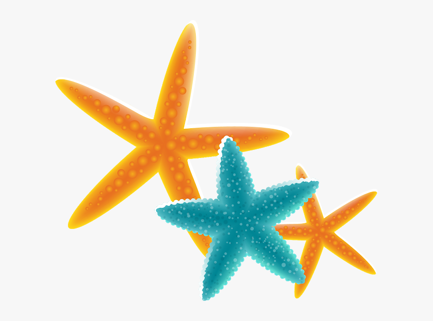 Star Fish Clipart Transparent Background, HD Png Download, Free Download