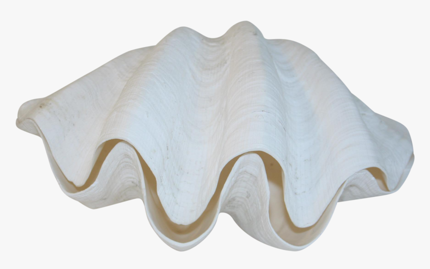 Giant Clam, HD Png Download, Free Download