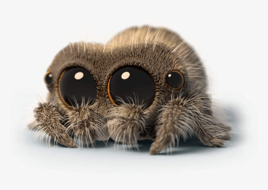 Adorable Lucas The Spider, HD Png Download, Free Download