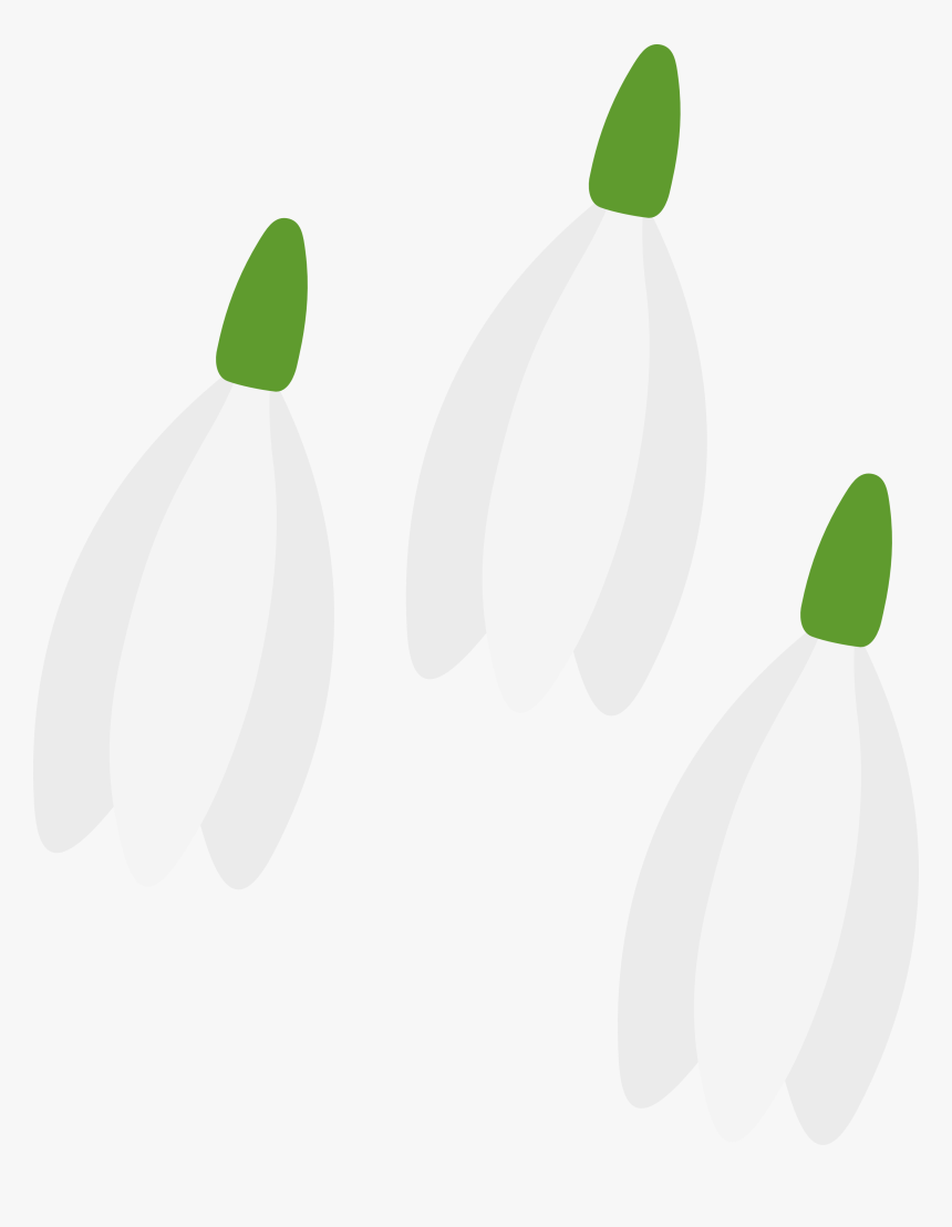 Mlp Spring Cutie Mark, HD Png Download, Free Download