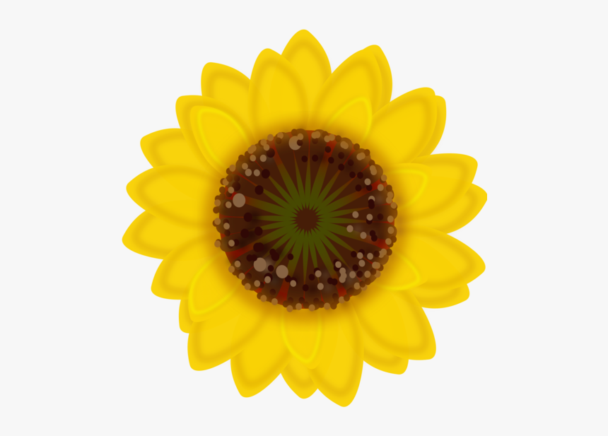 Sunflower Seed,flower,sunflower - Sunflower Cartoon Flat Drawing, HD Png Download, Free Download
