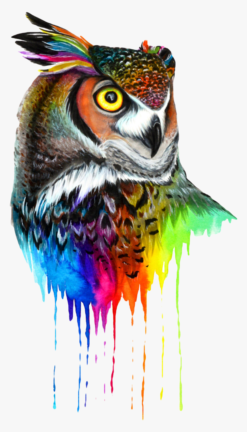 #owl #colors #mandala #bird #animal #nature #beak #wings - Rainbow Owl, HD Png Download, Free Download