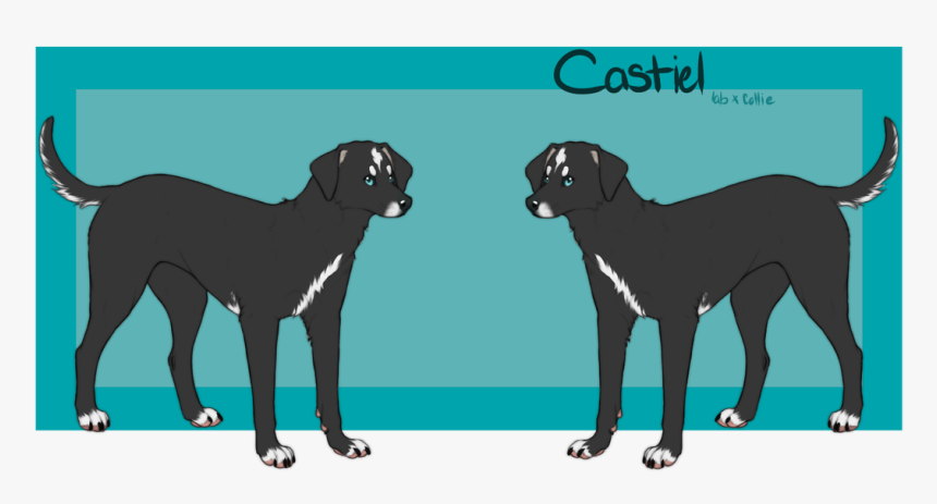 Picture - Dog Catches Something, HD Png Download, Free Download