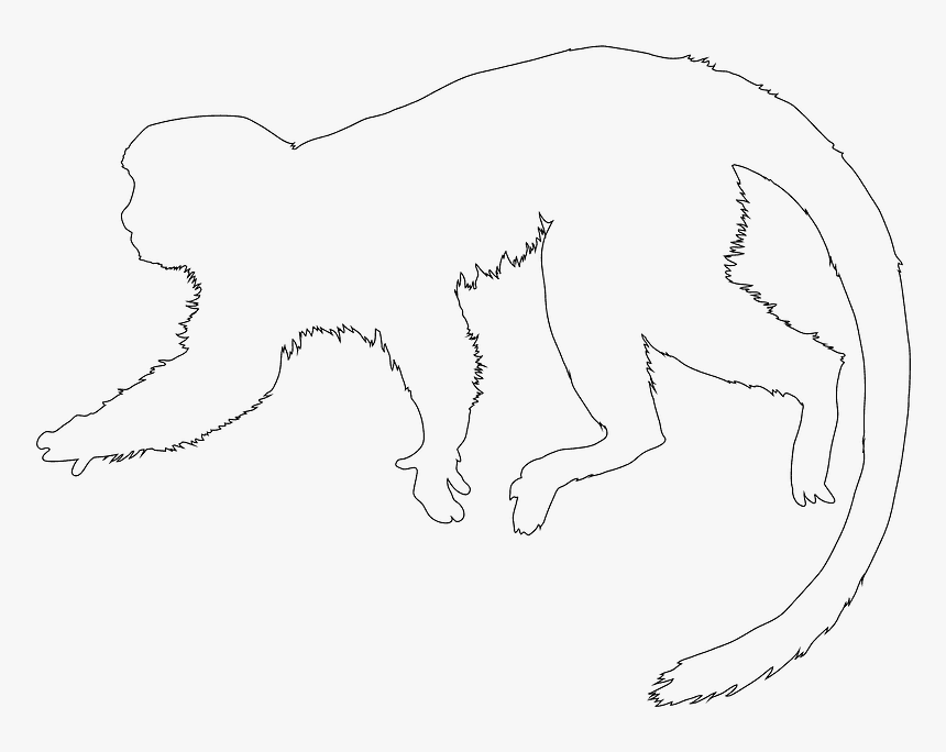 Squirrel Monkey Outline, HD Png Download, Free Download