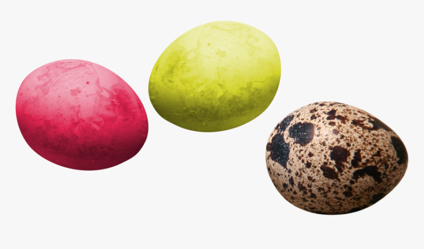 Easter Egg, HD Png Download, Free Download