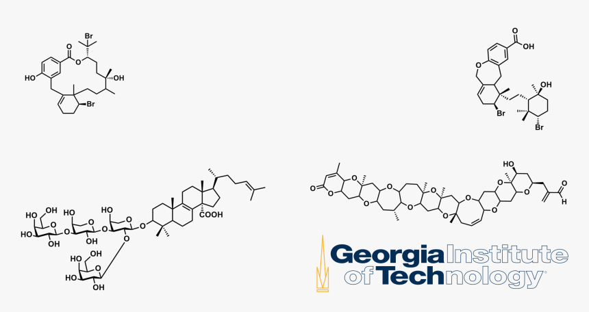 Georgia Institute Of Technology, HD Png Download, Free Download